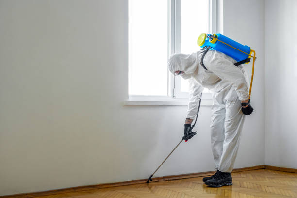 Real Estate Pest Inspections in Muhlenberg Park, PA